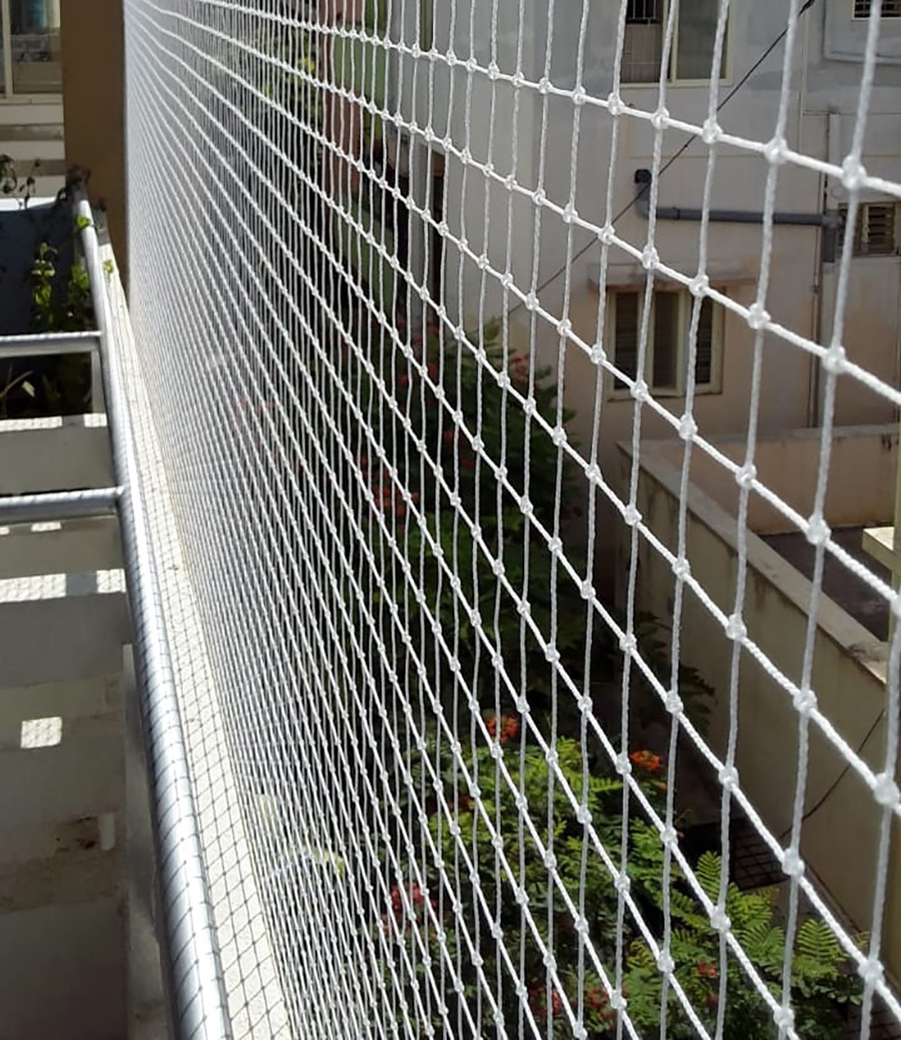 Bird Net Installation
